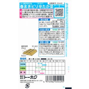 トーホク 野菜の種/種子 高菜 春まきピり辛た...の詳細画像1