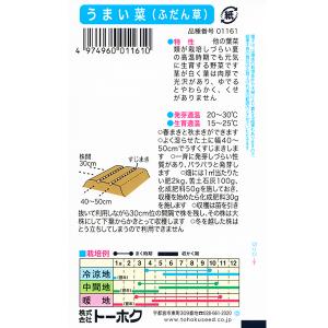 トーホク 野菜の種/種子 ふだん草 うまい菜(...の詳細画像1