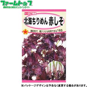 トーホク　野菜の種/種子　赤しそ　北海ちりめん赤しそ　内容量3ml　種　（追跡可能メール便発送　全国一律370円）02542　　　