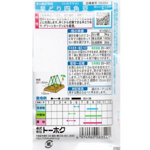 トーホク 野菜の種/種子 早どり四角豆 内容量...の詳細画像1