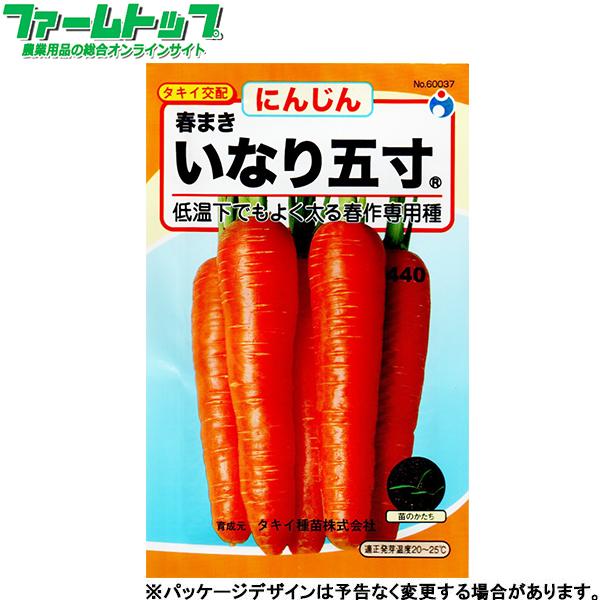 ウタネ　野菜の種/種子　にんじん　いなり五寸　種　（追跡可能メール便発送　全国一律370円）6003...