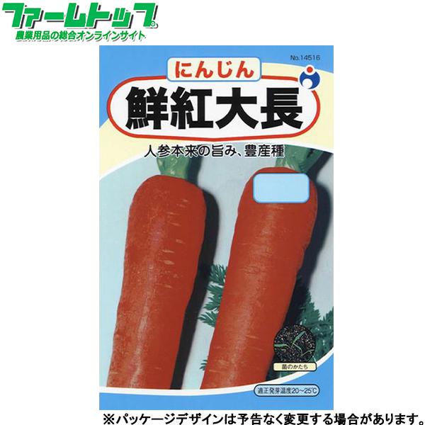 ウタネ　野菜の種/種子　にんじん　鮮紅大長　種　（追跡可能メール便発送　全国一律370円）14516...