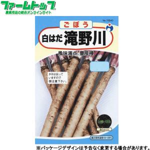 ウタネ　野菜の種/種子　ごぼう　白はだ滝野川　内容量7ml　種　（追跡可能メール便発送　全国一律370円）15540　　　