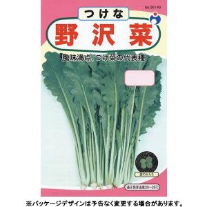 ウタネ　野菜の種/種子　つけな　野沢菜　内容量8ml　種　（追跡可能メール便発送　全国一律370円）06149　　　