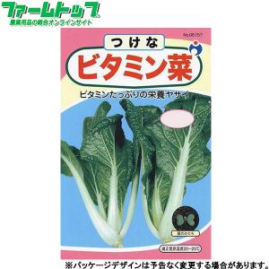 ウタネ　野菜の種/種子　つけな　ビタミン菜　内容量8ml　種　（追跡可能メール便発送　全国一律370円）06157　　　