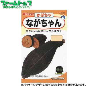 千日紅 ストロベリー 花 ガーデニング の商品一覧 通販 Yahoo ショッピング