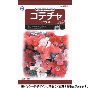 ウタネ　花の種/種子　ゴテチャ　内容量0.2ml　種　（追跡可能メール便発送　全国一律370円）31947　　　