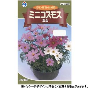 ウタネ　花の種/種子　ミニコスモス　混合　内容量1ml　種　（追跡可能メール便発送　全国一律370円）12431　　　