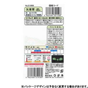 ウタネ 花の種/種子 矢車草 八重咲特選混合 ...の詳細画像1