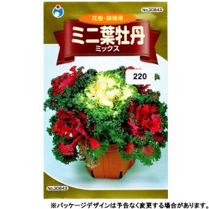 ミニ 葉牡丹 種 花の種 の商品一覧 種 種子 花 ガーデニング 通販 Yahoo ショッピング