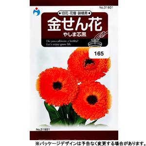 ウタネ　花の種/種子　きんせんか　金せん花　やしま芯黒　内容量1ml　種　（追跡可能メール便発送　全国一律370円）31931　　　