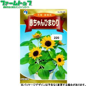トーホク 花の種/種子 ひまわり コンサートベル 内容量2ml 種（追跡