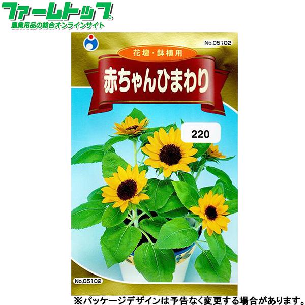 ウタネ　花の種/種子　ひまわり　赤ちゃんひまわり　種　（追跡可能メール便発送　全国一律370円）05...