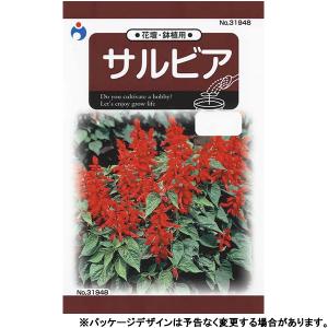 ウタネ　花の種/種子　サルビア　内容量0.4ml　種　（追跡可能メール便発送　全国一律370円）31948　　　