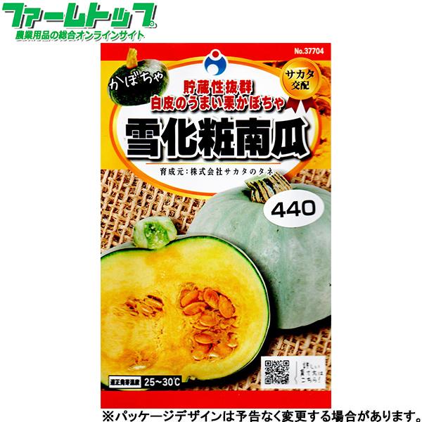 ウタネ　野菜の種/種子　かぼちゃ　雪化粧南瓜　種　（追跡可能メール便発送　全国一律370円）3770...