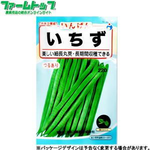 ウタネ　野菜の種/種子　いんげん　いちず　種　（追跡可能メール便発送　全国一律370円）38164　　　｜farmtop