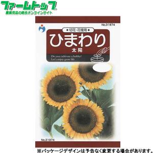 ウタネ　花の種/種子　ひまわり　太陽　内容量1.2ml　種　（追跡可能メール便発送　全国一律370円）31974　　　
