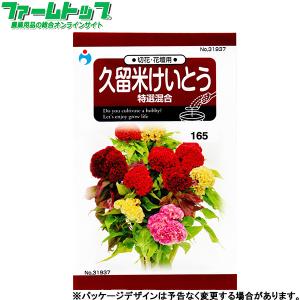 ウタネ　花の種/種子　けいとう　久留米けいとう　特選混合　内容量0.1ml　種　（追跡可能メール便発送　全国一律370円）31937　　　