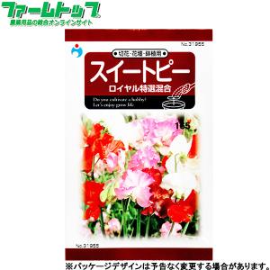 ウタネ　花の種/種子　スイートピー　ロイヤル特選混合　内容量1ml　種　（追跡可能メール便発送　全国一律370円）31955　　　