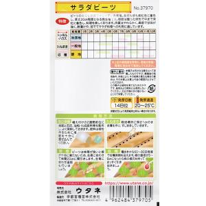 ウタネ 野菜の種/種子 サラダビーツ 内容量3...の詳細画像1