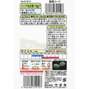 ウタネ 花の種/種子 ジニア(百日草) 巨大輪...の詳細画像1