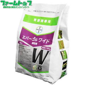 防除剤 殺虫剤 スクミノン 2kg ジャンボタニシ 農薬 薬剤 対策 稲作