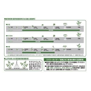 除草剤 パワーガイザー液剤 3Lの詳細画像2