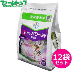 水稲育苗箱用殺虫剤 ゼロカウント粒剤 1kg×12袋セット : ファーム