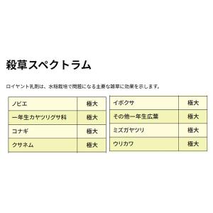 水稲用除草剤 ロイヤント乳剤 1Lの詳細画像2