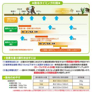 除草剤 カーメックス顆粒水和剤 1kgの詳細画像2
