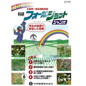 水稲用除草剤 フォーカスショットジャンボ 500gの詳細画像1