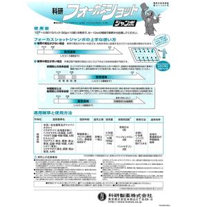 水稲用除草剤 フォーカスショットジャンボ 500gの詳細画像2
