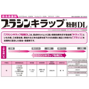 水稲用殺虫殺菌剤 ブラシンキラップ粉剤DL 3kgの詳細画像1