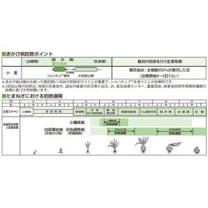 殺菌剤 シルバキュアフロアブル 5L×4本セットの詳細画像2