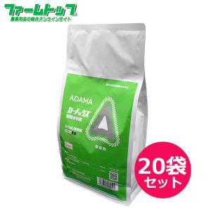 フマキラー・トータルシステム オプティガードZT 1kg 業務用 シロアリ