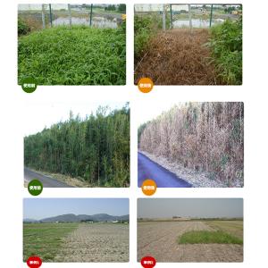 緑地管理用除草剤 デゾレートAZ粒剤 5kg×...の詳細画像2