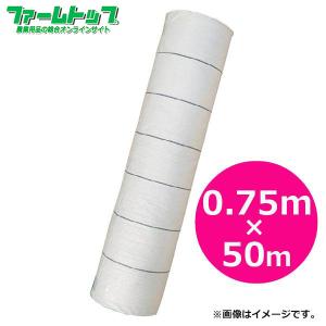 シンセイ 防虫ネット 幅2.1m×長さ10m 目合1mm ブルーセンターライン