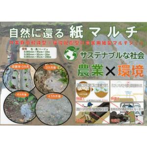 紙製 農業用マルチシート OJIサステナマルチ...の詳細画像2