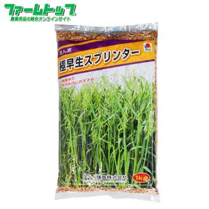 緑肥　エン麦　極早生スプリンター　種　1kg