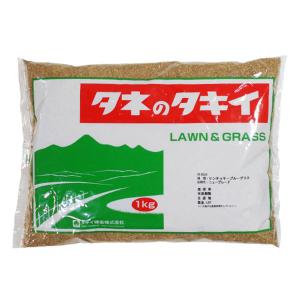 芝種 センチピードグラス 1kg 芝 種 種子 芝生 芝の種 芝生の種 ムカデ