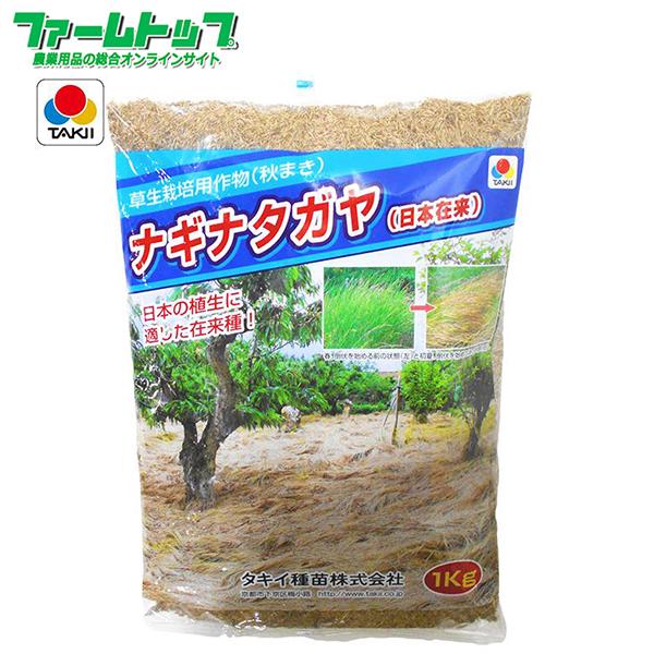 タキイ　ナギナタガヤ(日本在来)　種　1ｋｇ　雑草の抑制に!!　草生栽培用作物(秋まき)