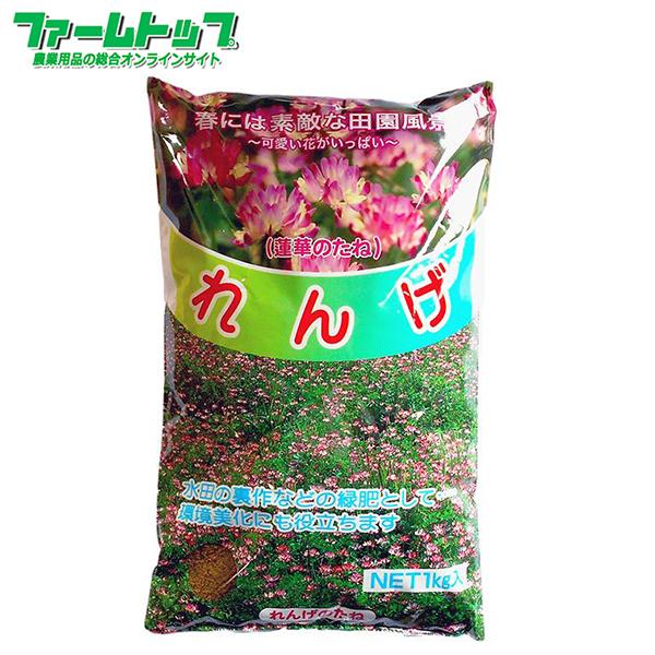 れんげの種　花の種　種子　レンゲ草　レンゲの種 　花の種 　1ｋｇ