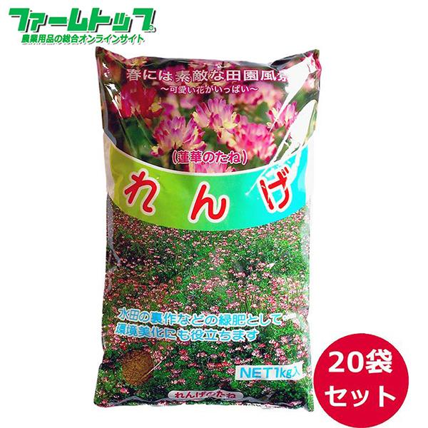 れんげの種　花の種　種子　レンゲ草　レンゲの種 　花の種 　1ｋｇ×20袋セット