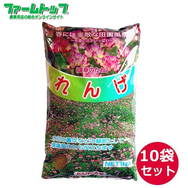 れんげの種　花の種　種子　レンゲ草　レンゲの種 　花の種 　れんげ種 　1ｋｇ×10袋セット