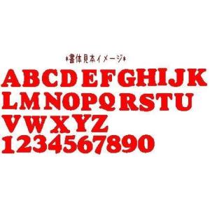 【書体1】【#coo】【4.5cm】アルファベ...の詳細画像1