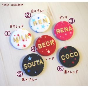 マカロンカラーの3Dネームキーホルダー☆パステルアクキー【セミ