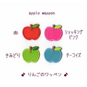 【Ｓ】りんごのアイロンワッペン２枚セット