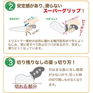 ののじ かぼーちょう かぼ-ちょう かぼうちょ...の詳細画像3