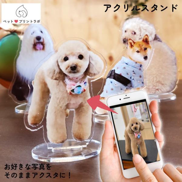 3個目無料 アクスタ 7cm オリジナル アクリルスタンド ペット 犬 猫 ネコ 赤ちゃん ベビー ...