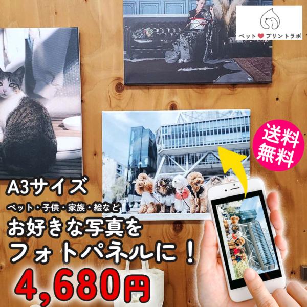 3個目無料 フォトパネル キャンバス ピクチャーボード A3 ペット犬 猫 絵画 壁掛け インテリア...